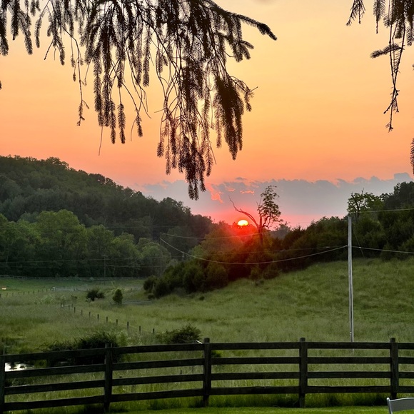 Meet your Posher, Rheannon - Picture 1 of 1